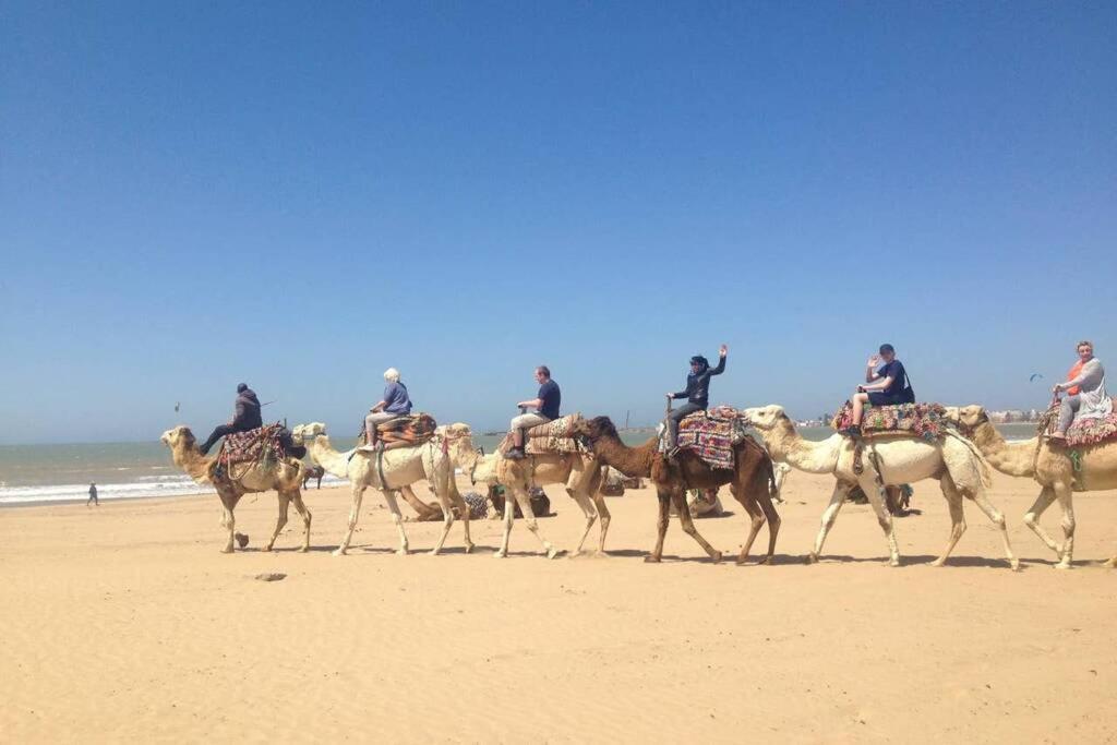 Darsal-Bwindi, Pour Tomber Amoureux D'Essaouira ! Villa Ngoại thất bức ảnh